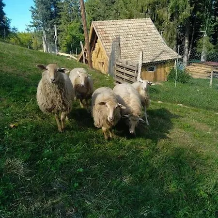 L'Estive, gîte à la ferme en montagne Eschbach-au-Val Extérieur photo