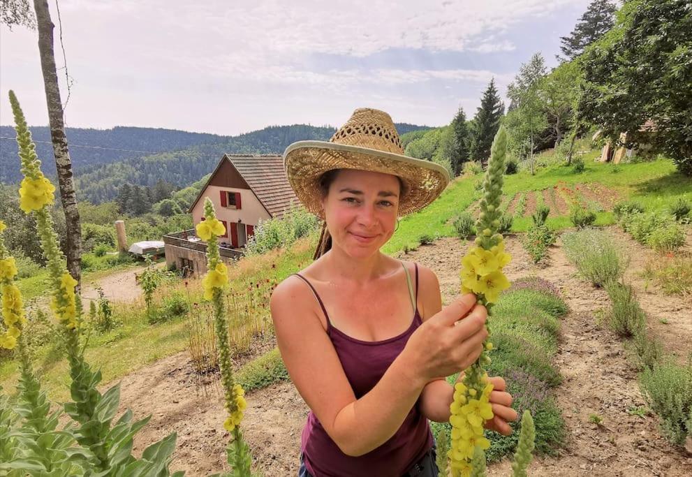 L'estive, A La Ferme En Montagne Ferienhaus