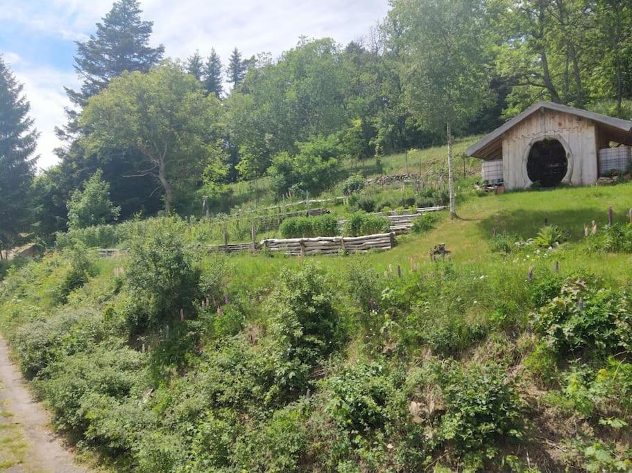 L'estive, à La Ferme En Montagne *